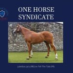 Syndicate shares in Red Cadillac, son of Jukebox Jury