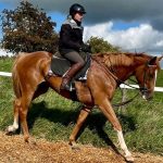 Red Cadlillac on the gallops