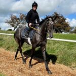 Saracen Beau on the gallops at Greystoke