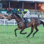 They’re Chancers delivers for Paul and Claire Rooney and Nicky Richards at Ayr on Tuesday