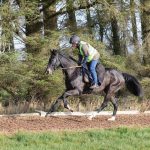 Upon Tweed on the gallops at Greystoke