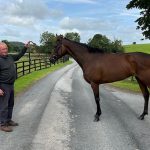 Become a Racehorse Owner