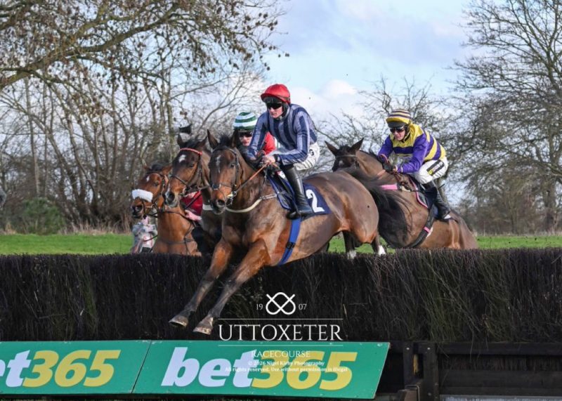 Sunnyvilla on the way to victory at Uttoxeter