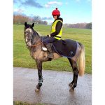 Latosca Du Houx wins on debut at Ayr yesterday