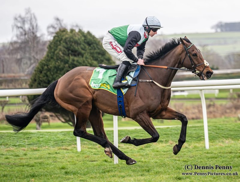 image1_800px Doyen Du Bar wins at Kelso