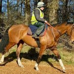 Exclusive Racehorse Syndicate Opportunity